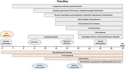 Granulomatous Liver Disease in Ataxia-Telangiectasia With the Hyper-IgM Phenotype: A Case Report